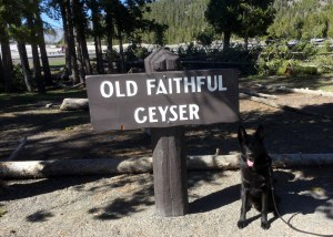 Harley with the Old Faithful Sign.